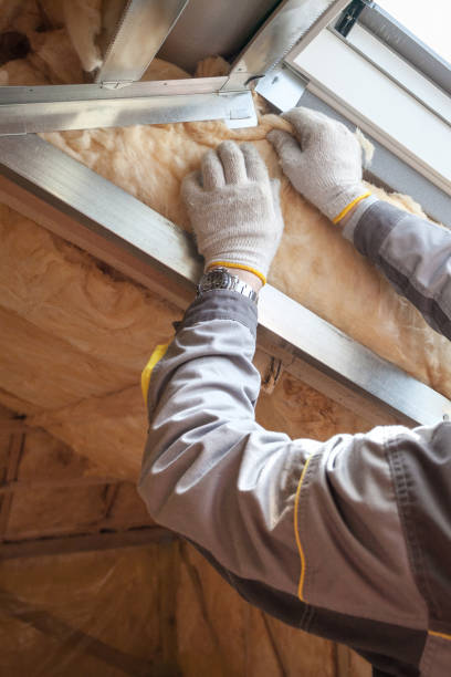 Best Insulation Maintenance and Repair in Osceola, IN